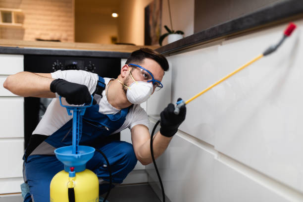 Best Residential Pest Control  in Shawnee, KS