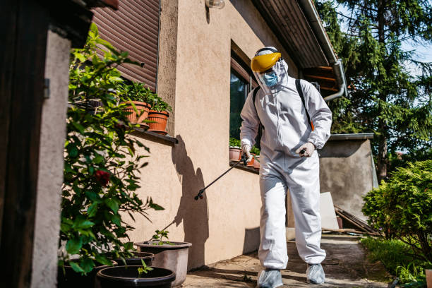 Best Wasp Removal Services  in Shawnee, KS