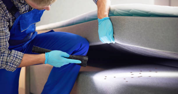 Trusted Shawnee, KS Pest Control Experts
