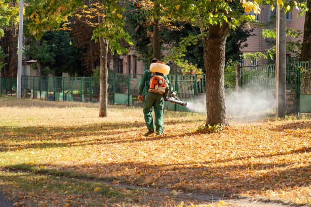 Best Bed Bug Extermination  in Shawnee, KS